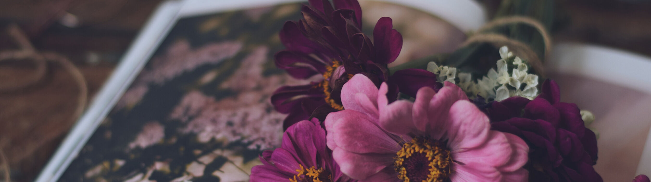 bloemen-slider-paars