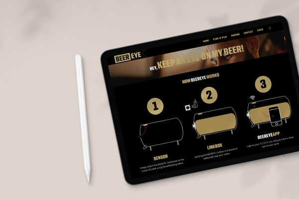 moune-webdesign-akkrum-beereye